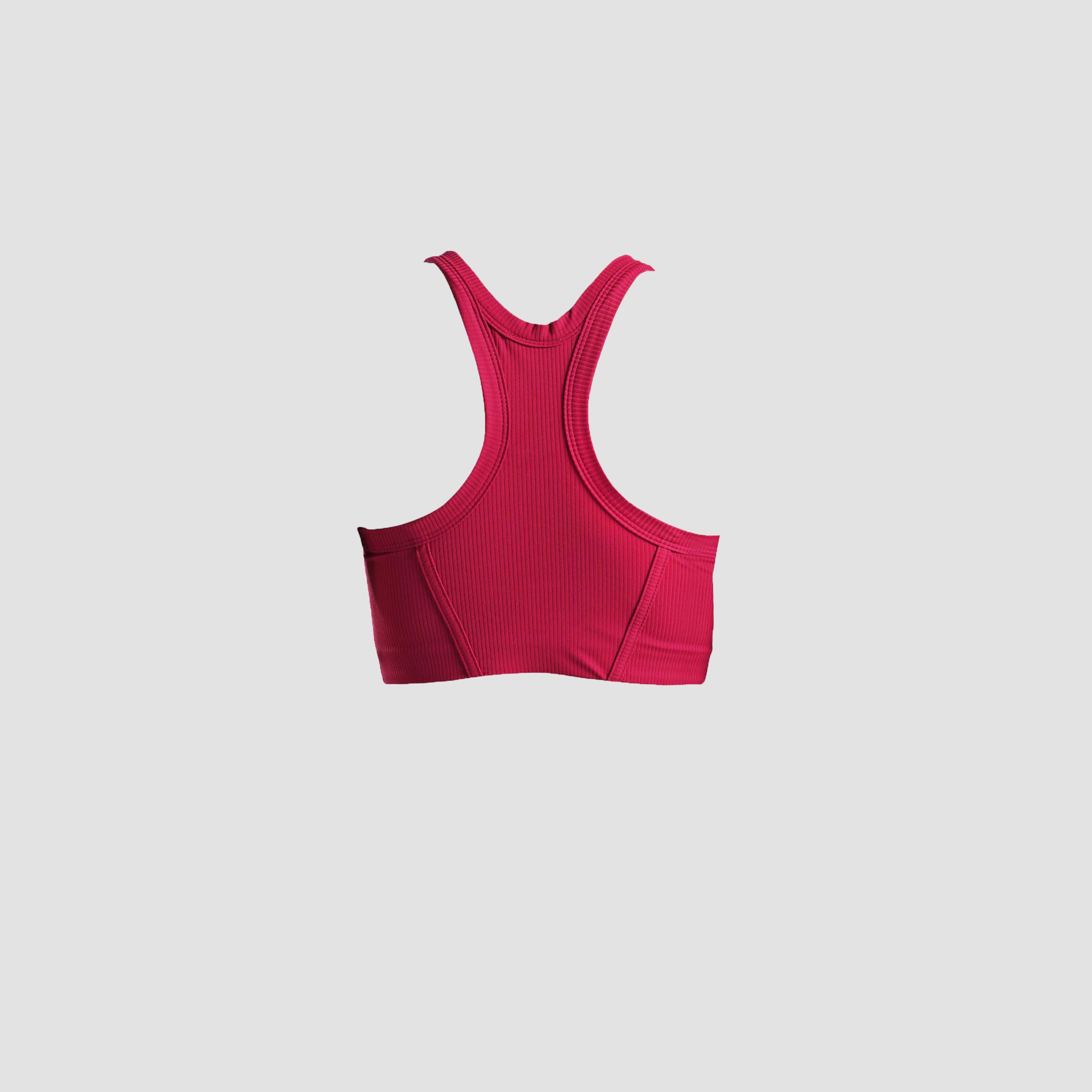 Performance Bra (Plum)