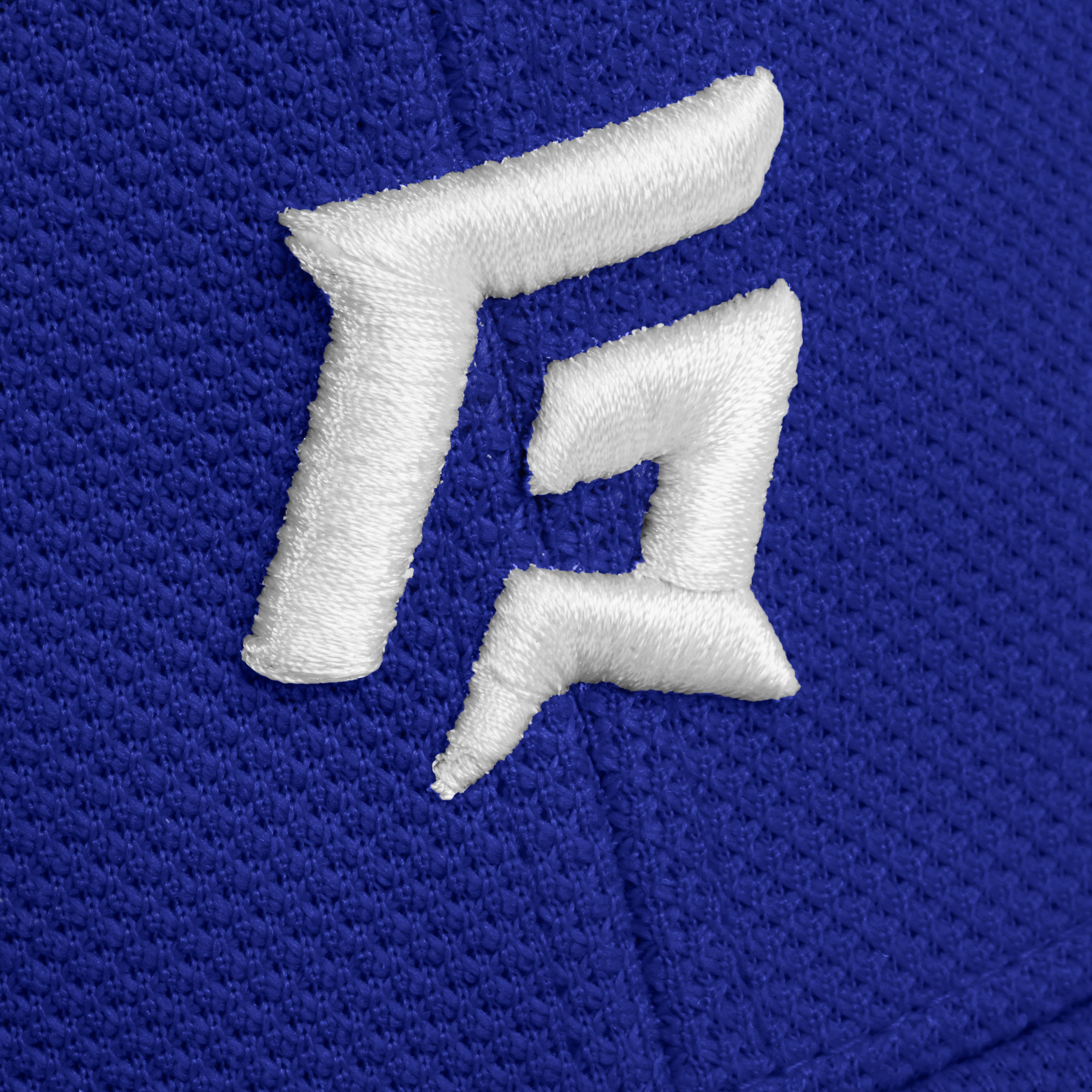 Pro Profile Logo Cap (Blue)
