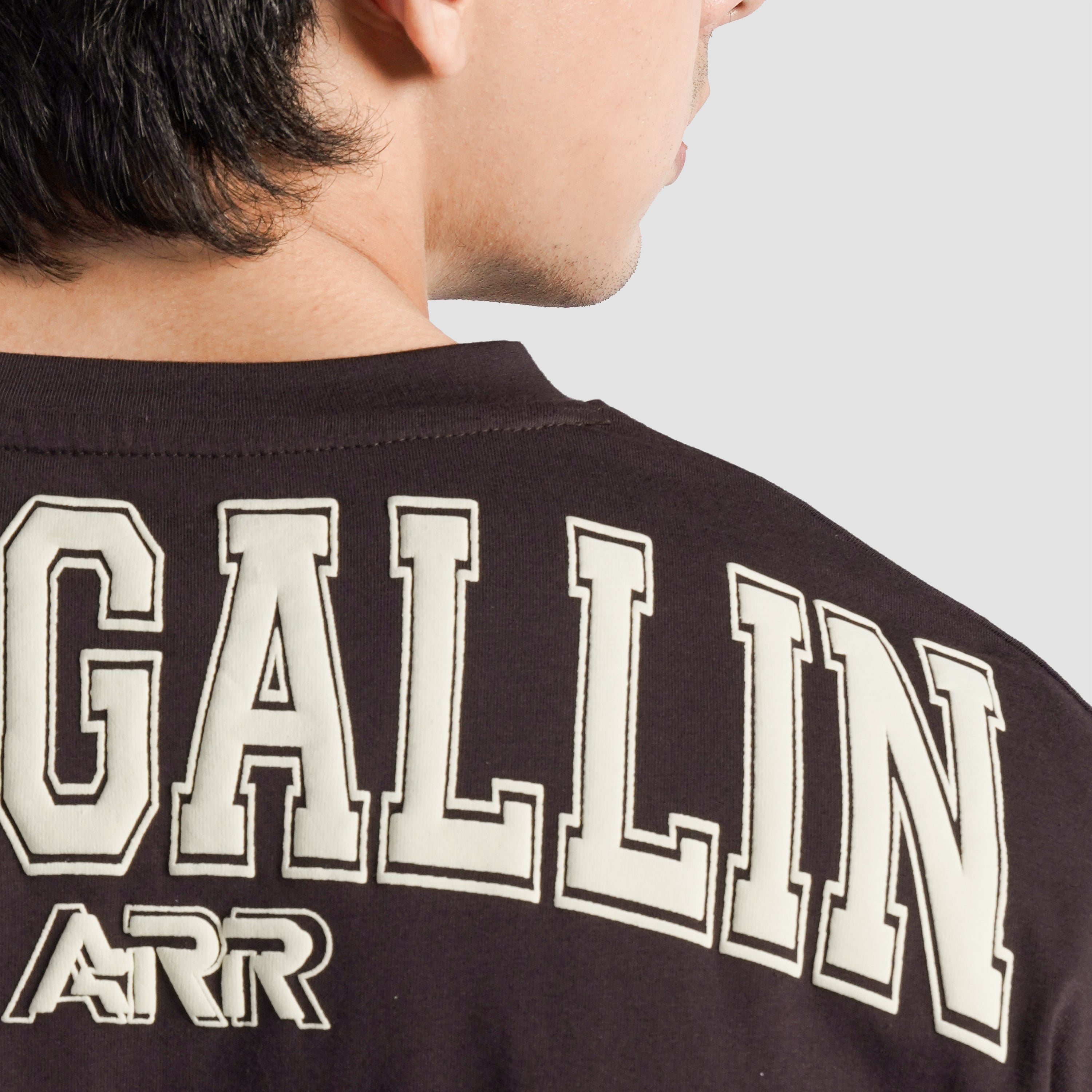 GAI X ARR Tee (Brown)